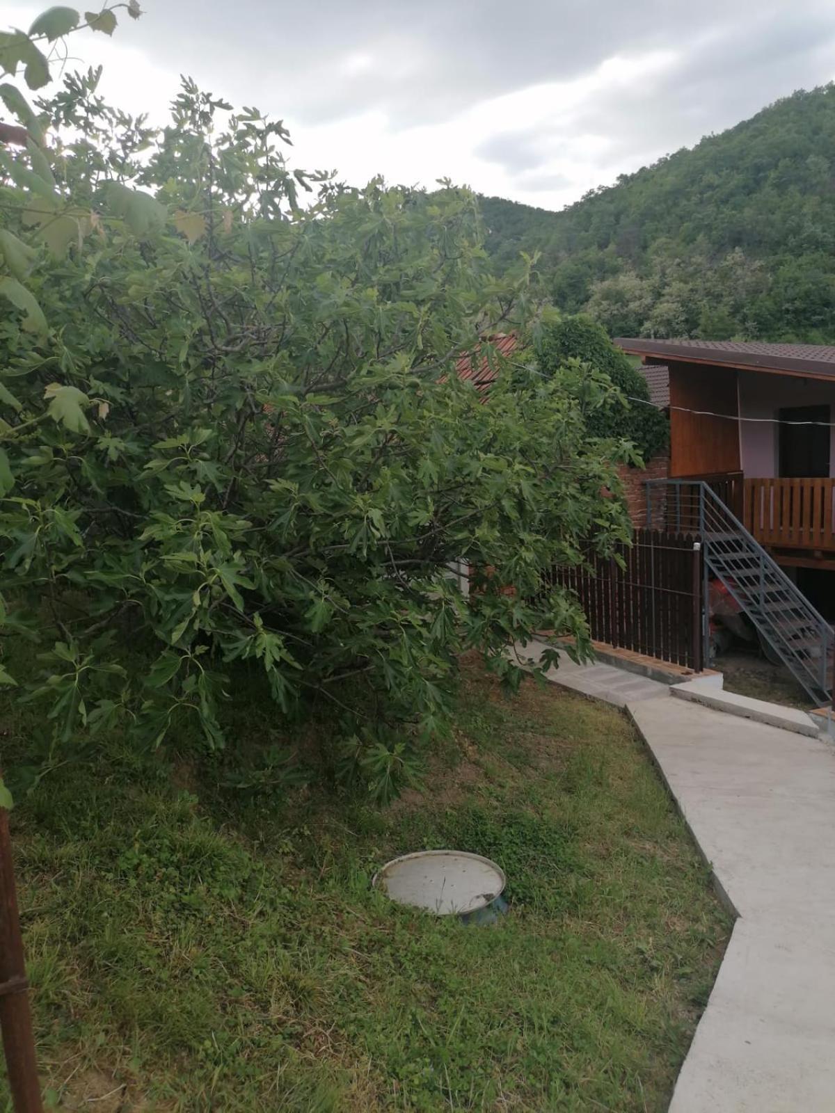 La Casuta Villa Dubova Exterior foto